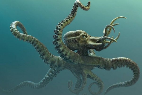 Kraken новая ссылка