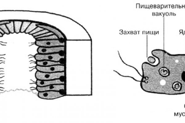 Реальные ссылки кракен